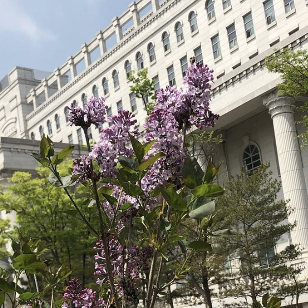 스크린샷 2020-04-13 오후 5.33.03.png