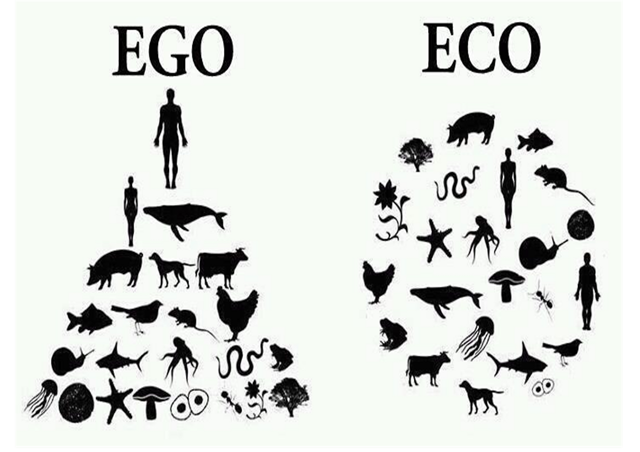 노자 도덕경과 생태민주주의-축약본-일산도서관012.png