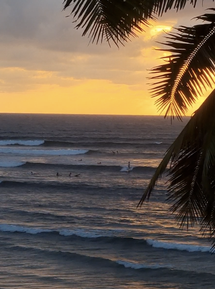 Screen Shot 2022-02-20 at 11.21.48 PM.png