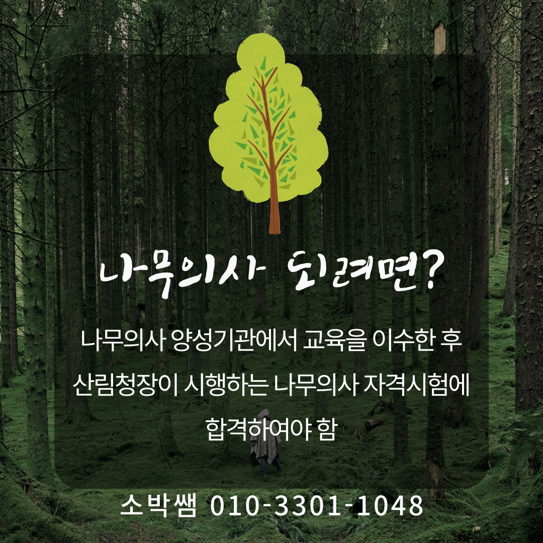청주 나무의사응시자격, 나무의사 양성교육기관까지 (4).png