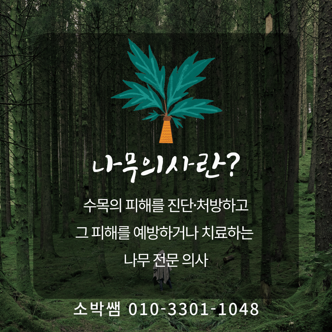 청주 나무의사응시자격, 나무의사 양성교육기관까지 (3).png