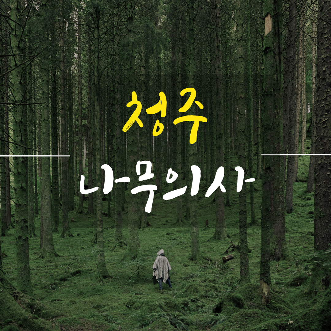 청주 나무의사응시자격, 나무의사 양성교육기관까지 (1).png