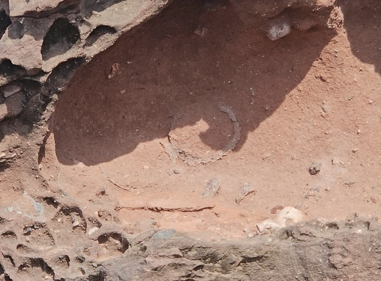 스크린샷 2024-04-15 200812.png