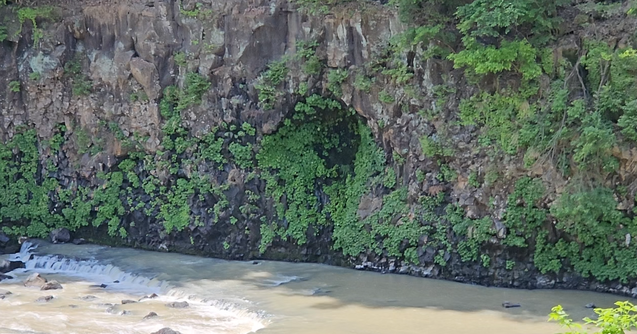 스크린샷 2024-05-05 234044.png