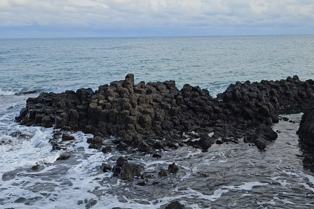 스크린샷 2024-03-17 132014.png