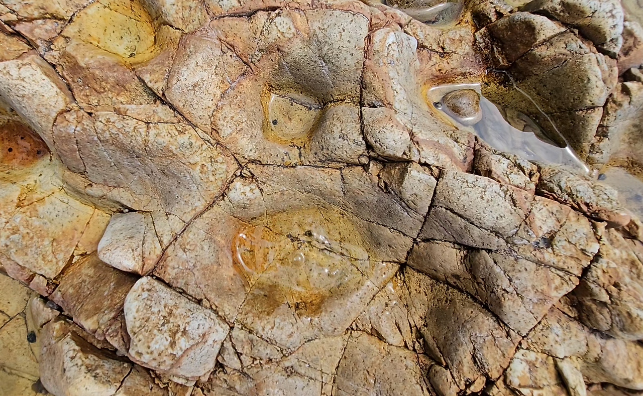 스크린샷 2024-07-15 135918.png