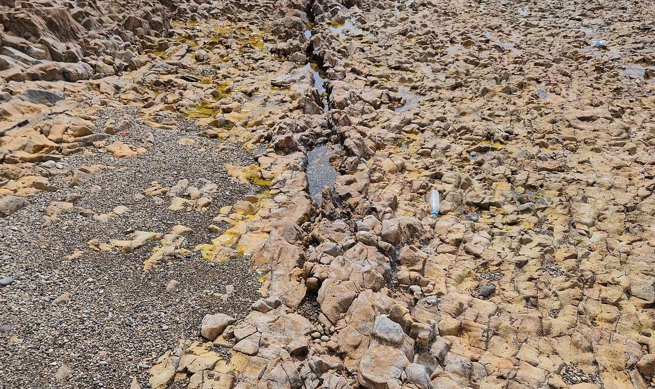 스크린샷 2024-07-15 140022.png