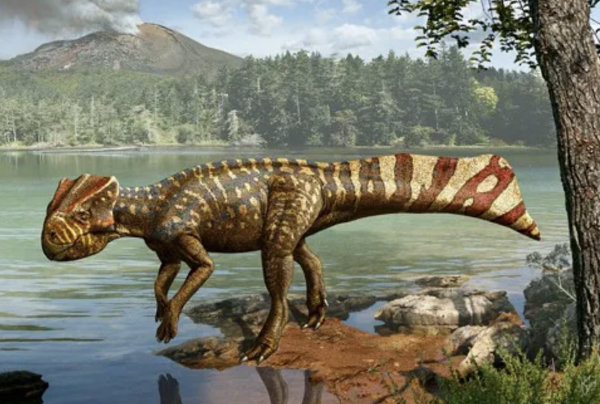 스크린샷 2024-04-15 194137.png