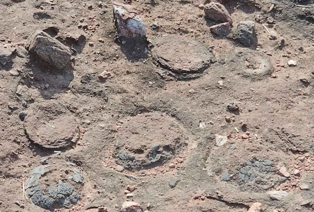 스크린샷 2024-04-15 200630.png