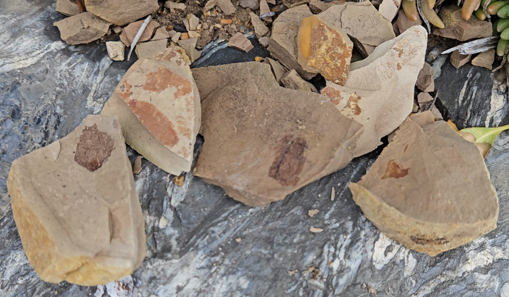 스크린샷 2024-03-10 212914.png