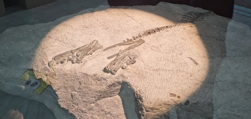 스크린샷 2024-04-15 193753.png