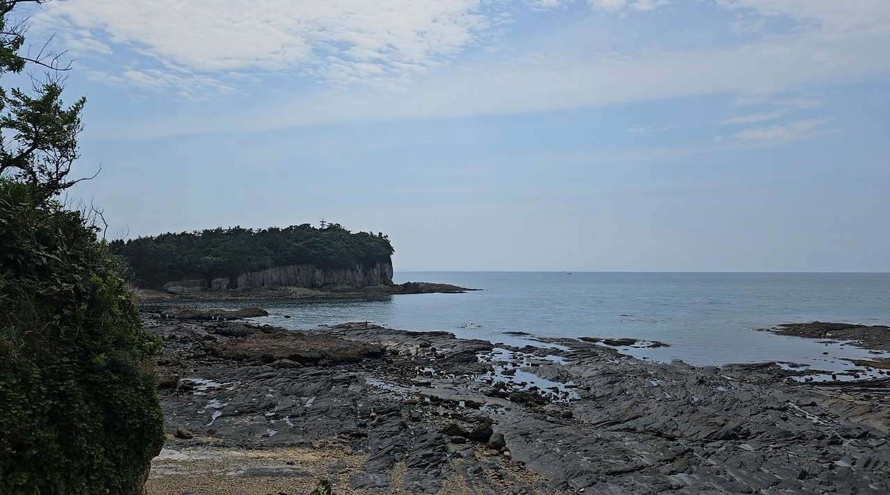 스크린샷 2024-07-15 135806.png