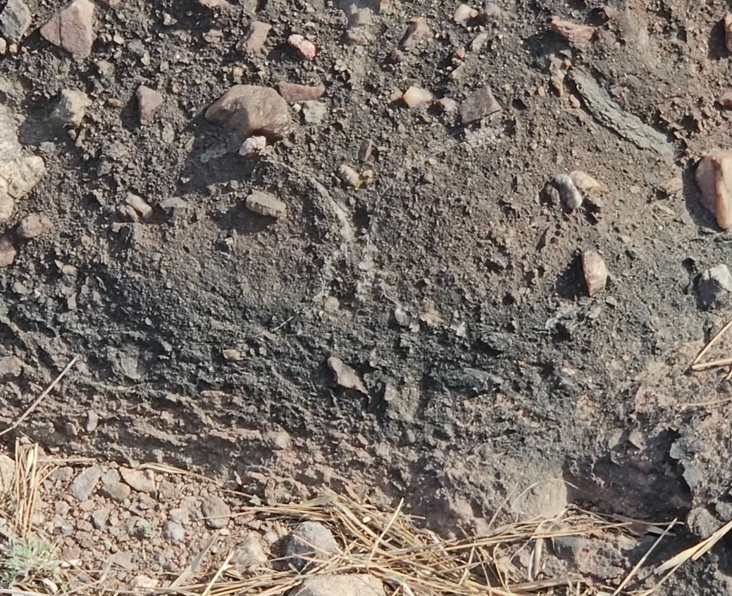 스크린샷 2024-04-15 200725.png