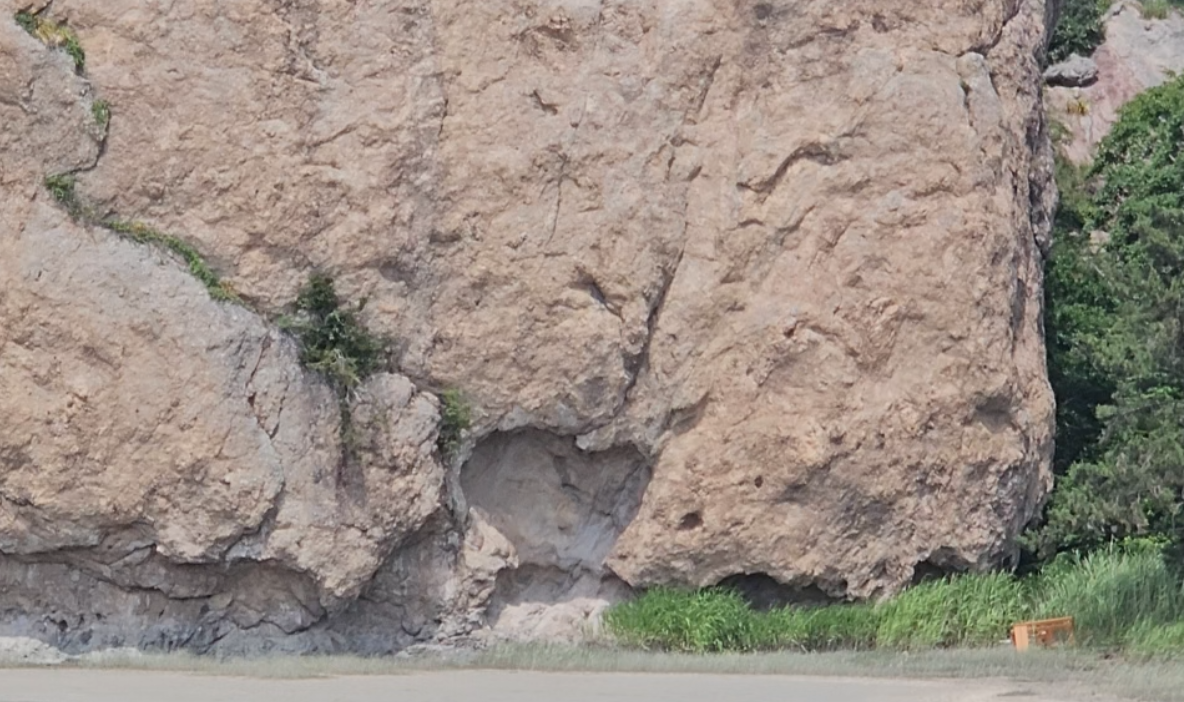 스크린샷 2024-07-08 123947.png