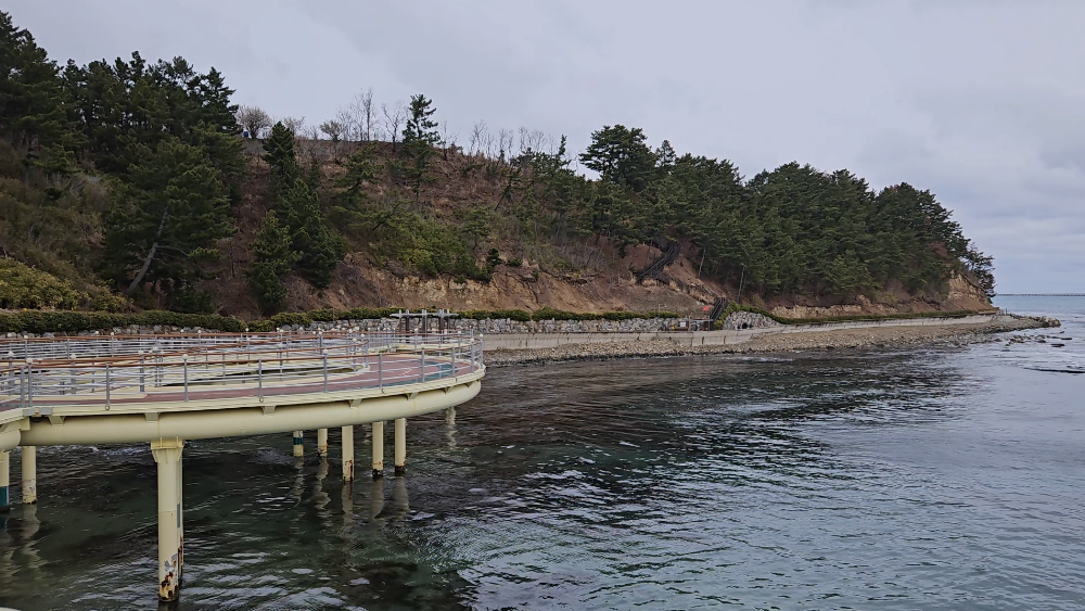 스크린샷 2024-03-10 220013.png