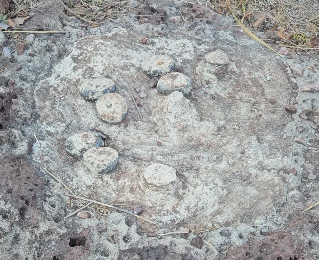 스크린샷 2024-04-15 200701.png