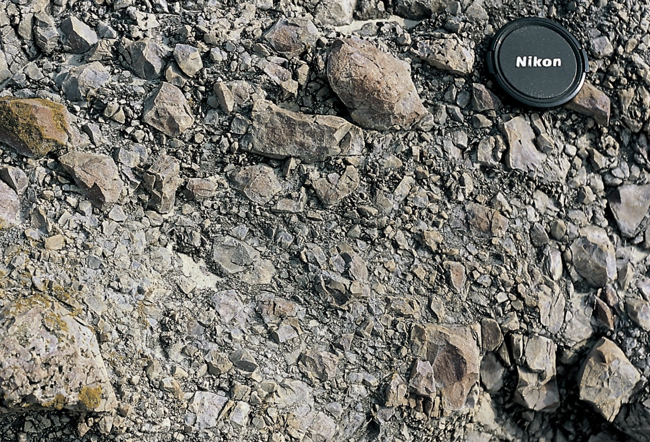 스크린샷 2024-07-08 125638.png