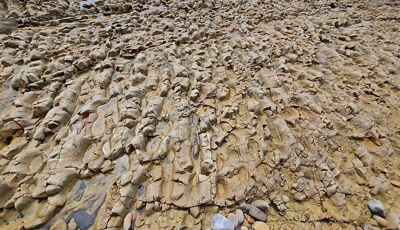 스크린샷 2024-07-15 135937.png