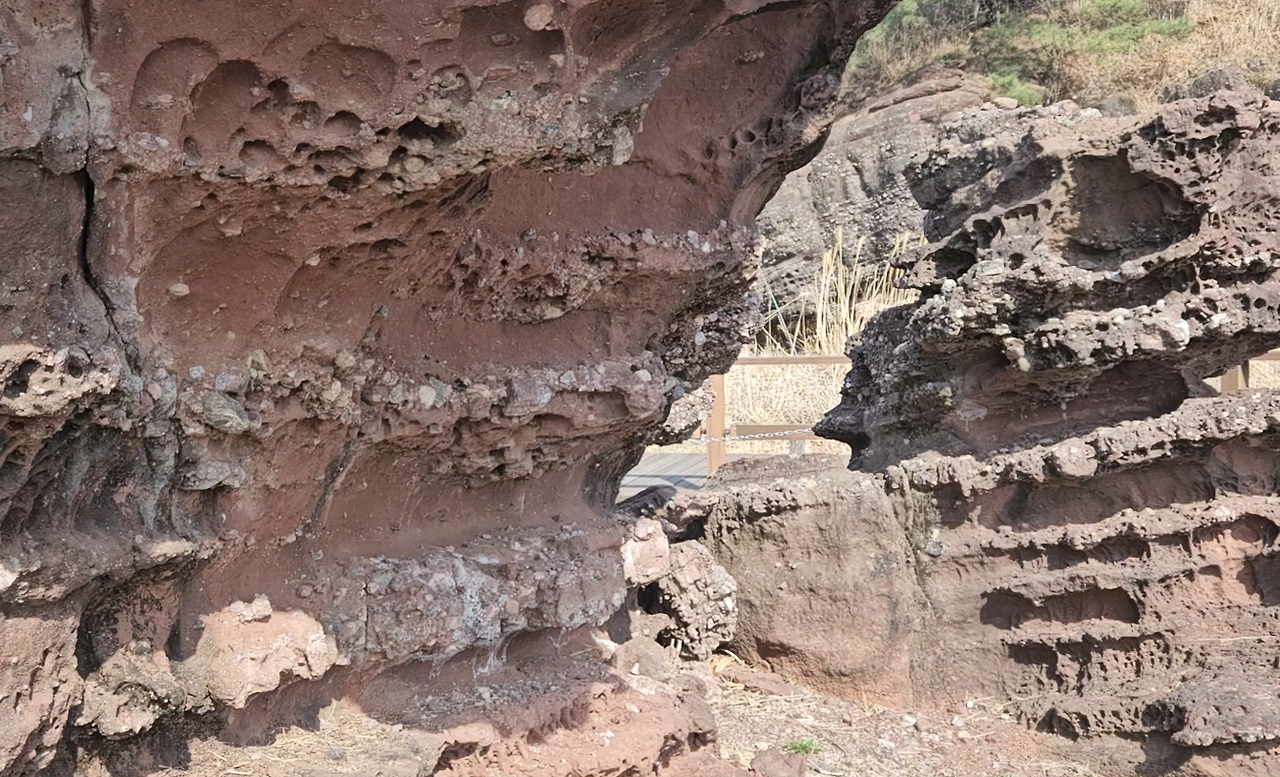 스크린샷 2024-04-15 202417.png