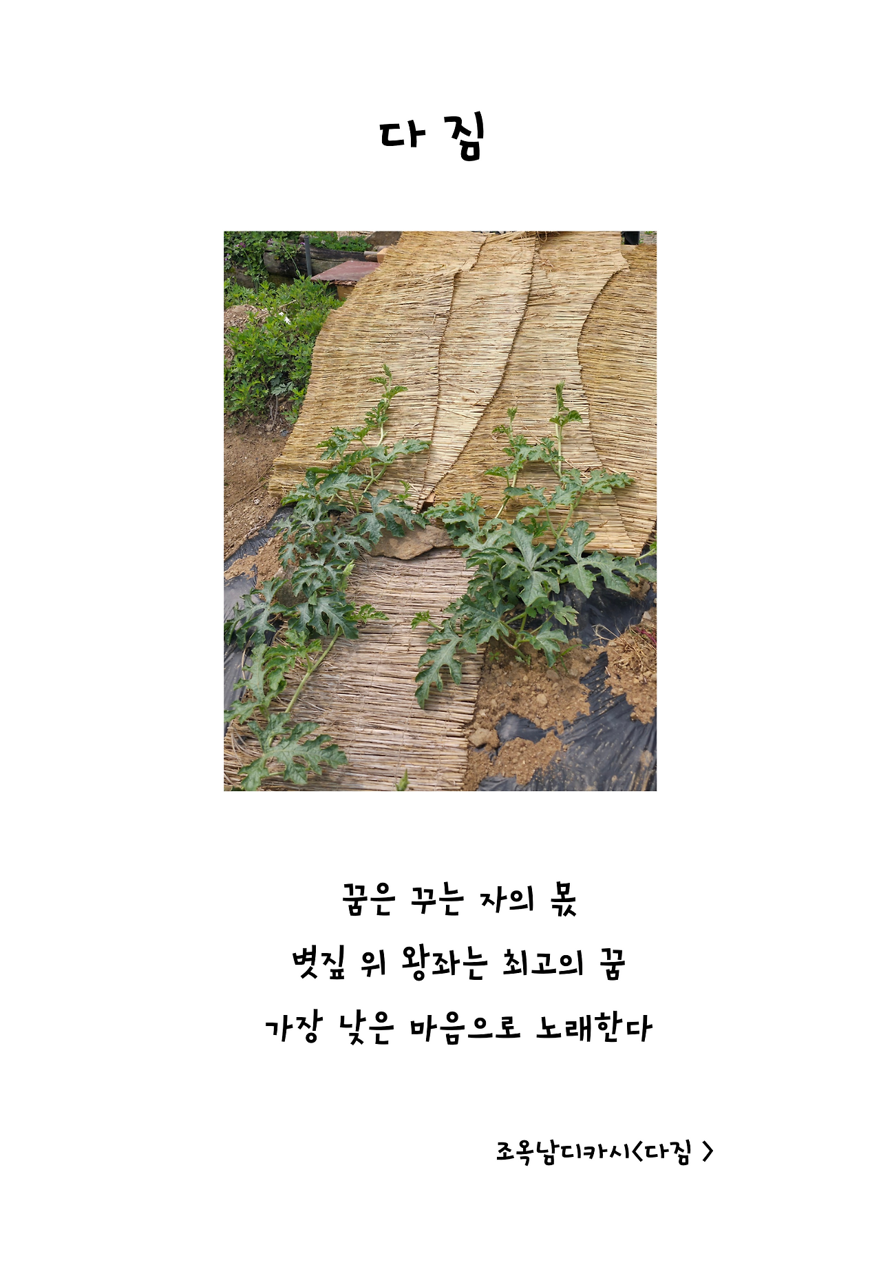 디카시 1권 (3).png