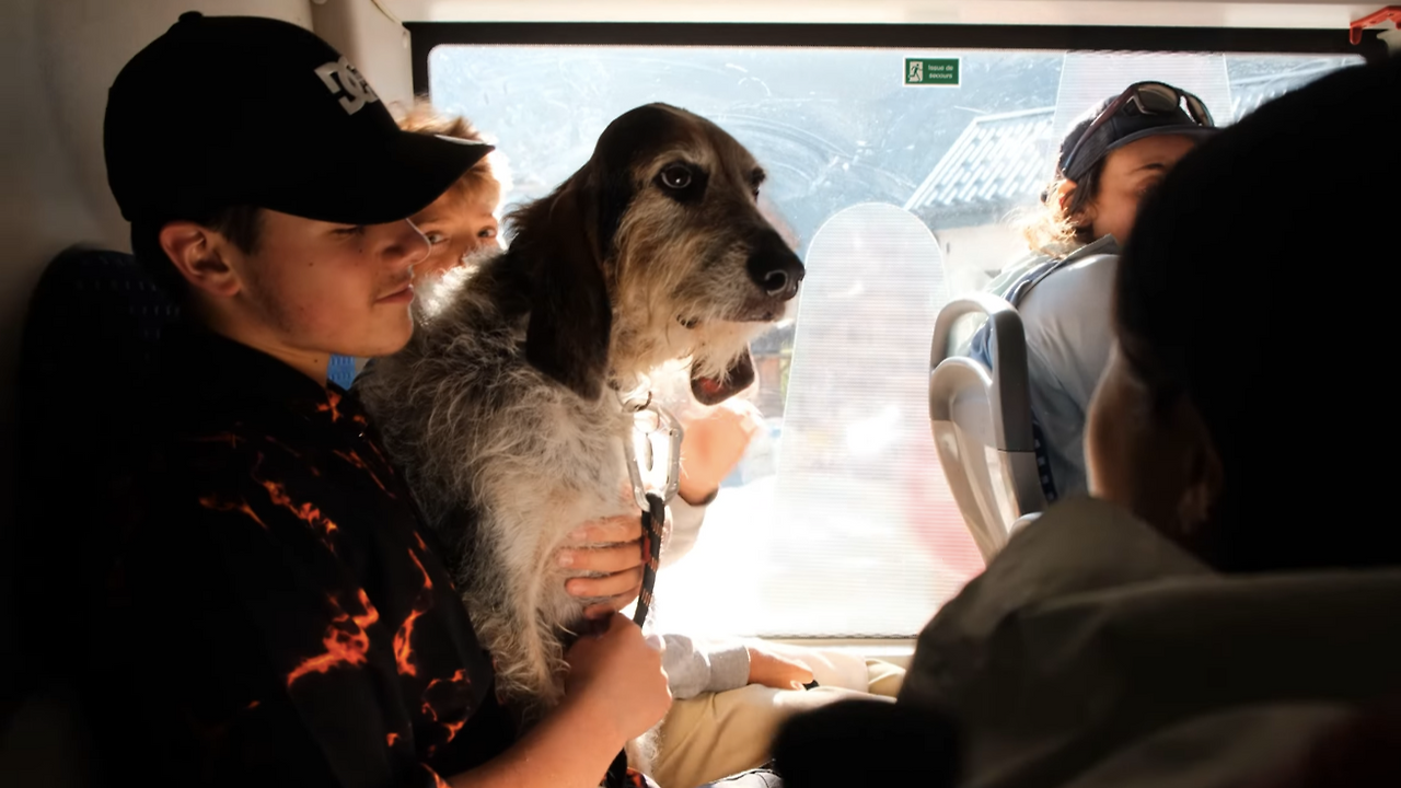 스크린샷 2025-09-29 오전 9.15.01.png