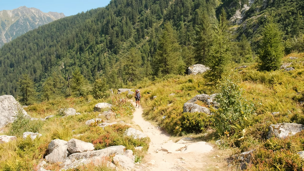 스크린샷 2025-11-25 오전 10.04.52.png