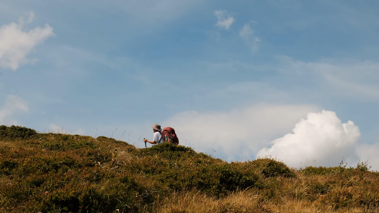 스크린샷 2025-11-25 오전 10.34.28.png