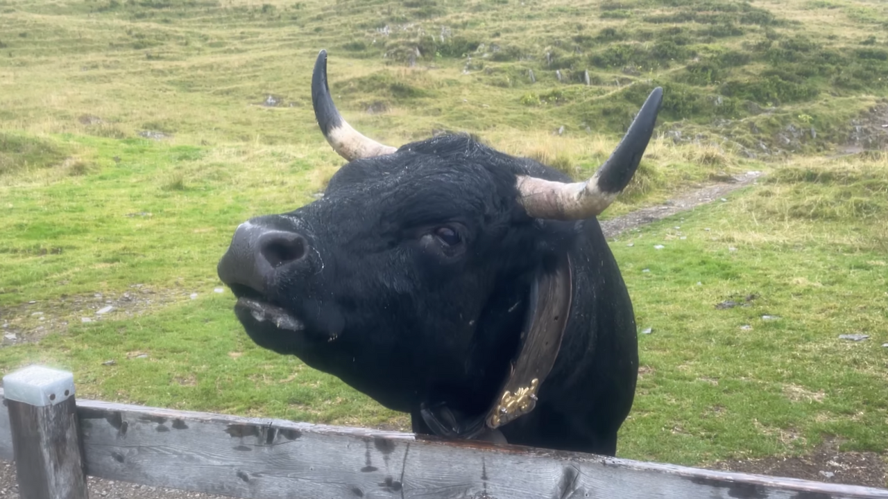 스크린샷 2025-11-25 오전 10.17.02.png