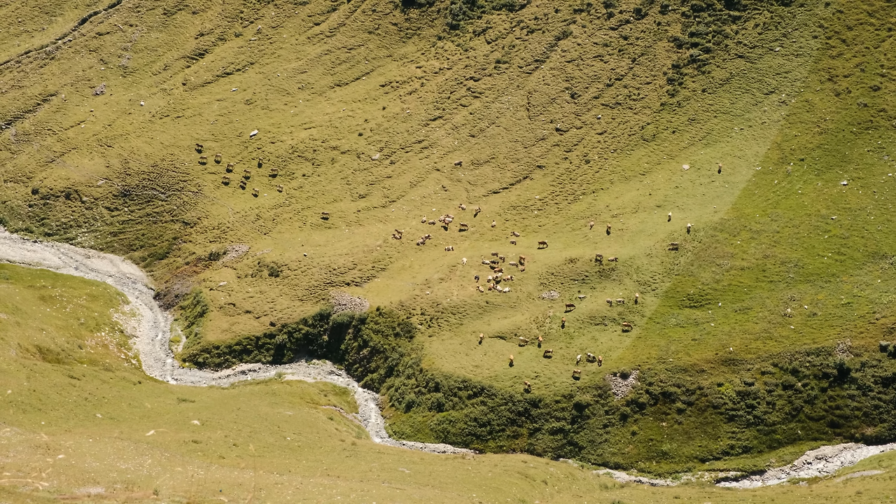 스크린샷 2025-11-24 오전 11.09.05.png