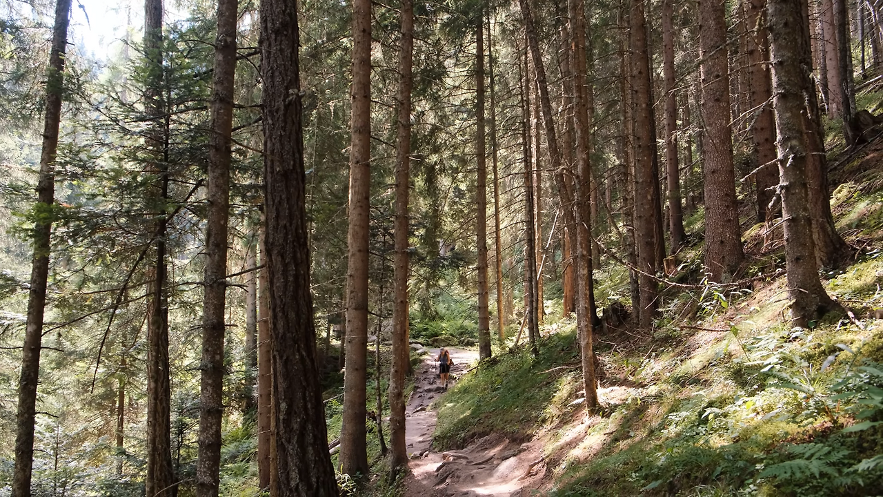 스크린샷 2025-11-25 오전 10.03.57.png