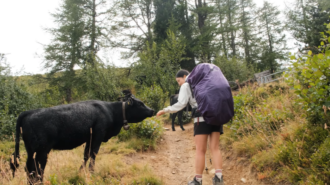 스크린샷 2025-11-25 오전 10.21.28.png