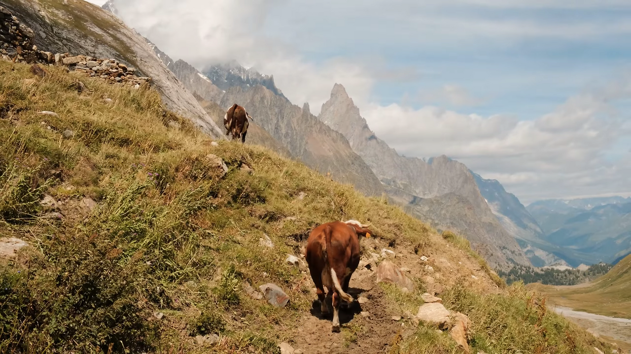 스크린샷 2025-11-18 오후 5.32.17.png