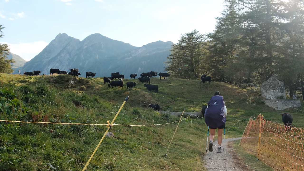 스크린샷 2025-11-25 오전 10.28.03.png