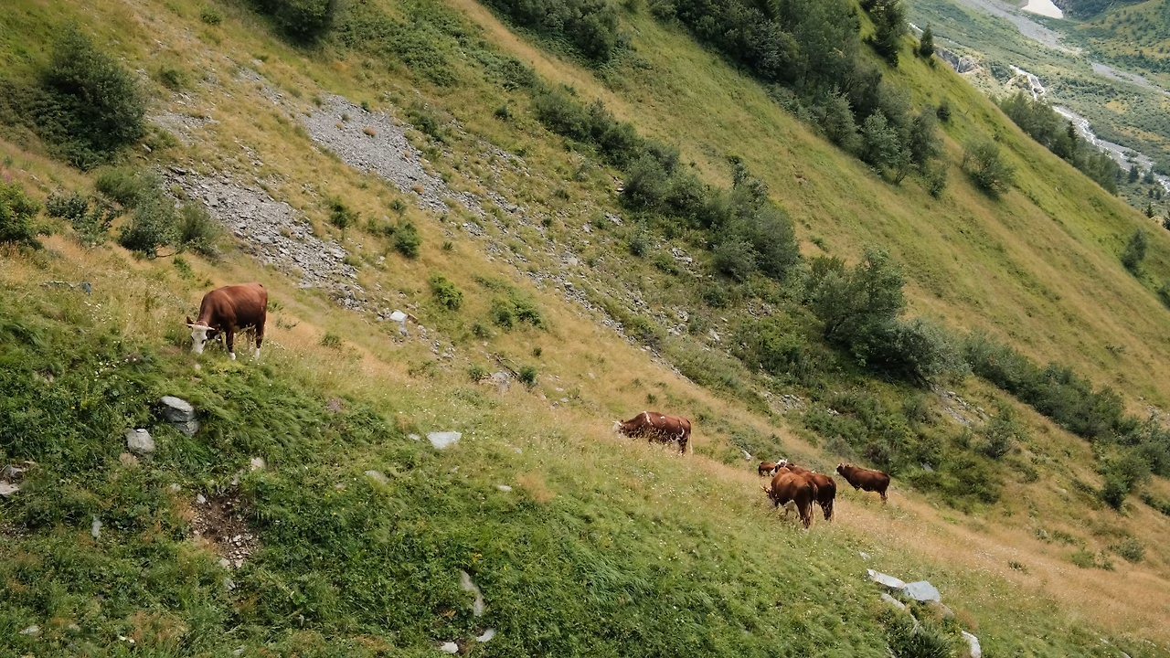 스크린샷 2025-09-29 오전 9.44.04.png