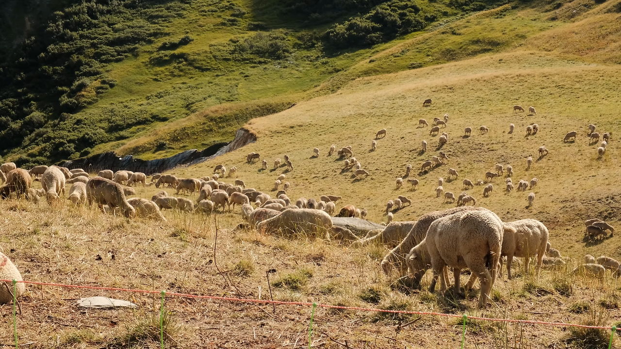 스크린샷 2025-09-30 오전 8.38.47.png
