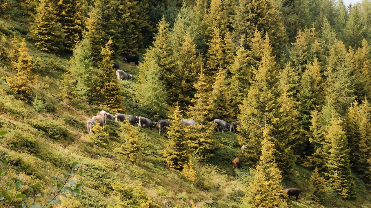 스크린샷 2025-11-25 오전 10.21.15.png