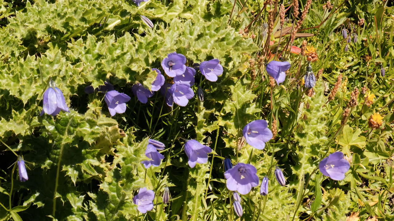 스크린샷 2025-11-24 오전 11.08.58.png