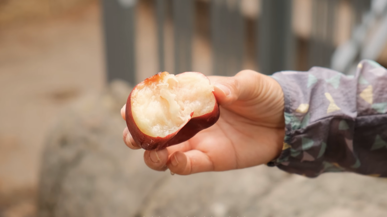 스크린샷 2025-09-24 오후 3.41.24.png