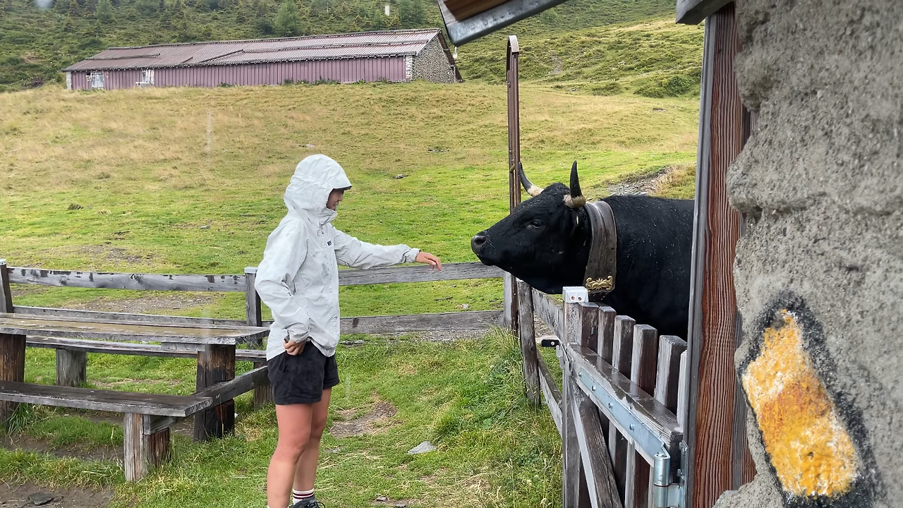 스크린샷 2025-11-25 오전 10.16.51.png