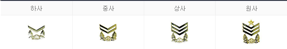 부사관 계급장.png