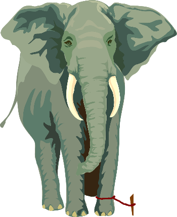 elephant-304777_1280.png