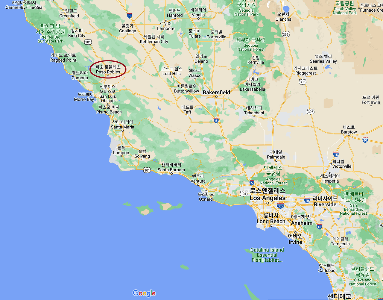 추천 MAP.png