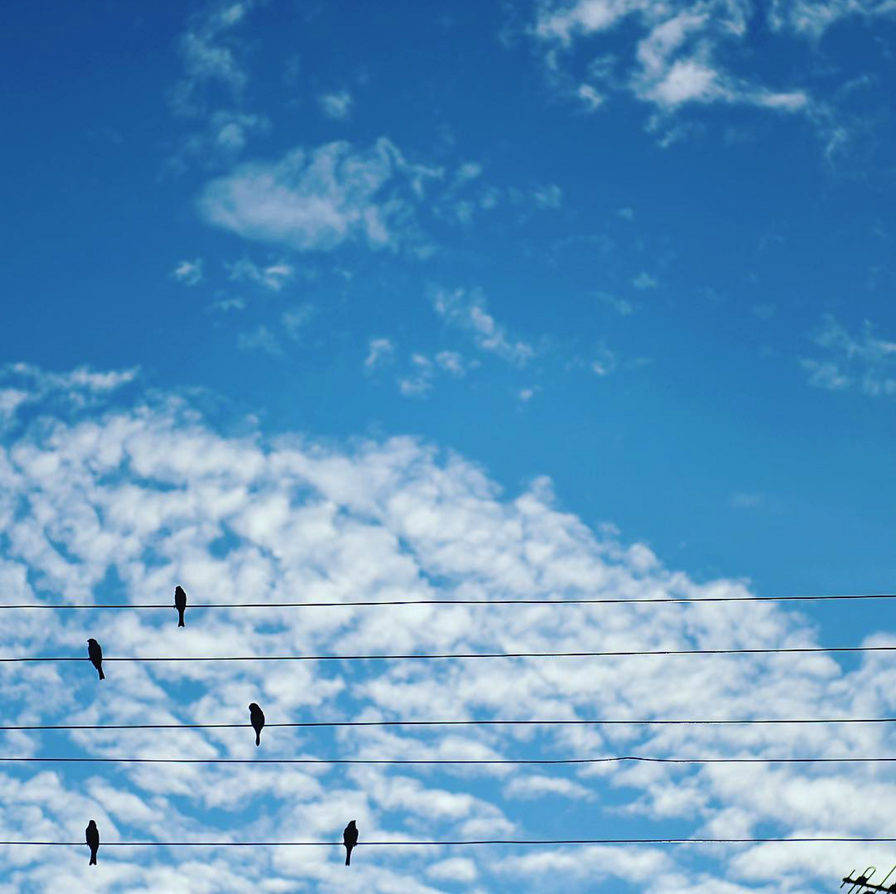 스크린샷 2022-08-01 오후 11.55.45.png