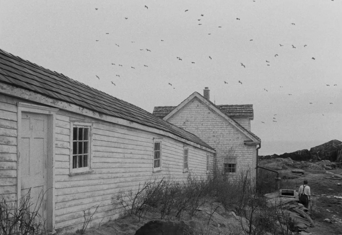 라이트하우스 The Lighthouse.2019.1080p.KOR.FHDRip.H264.AAC-RTM.mp4_002455703.png