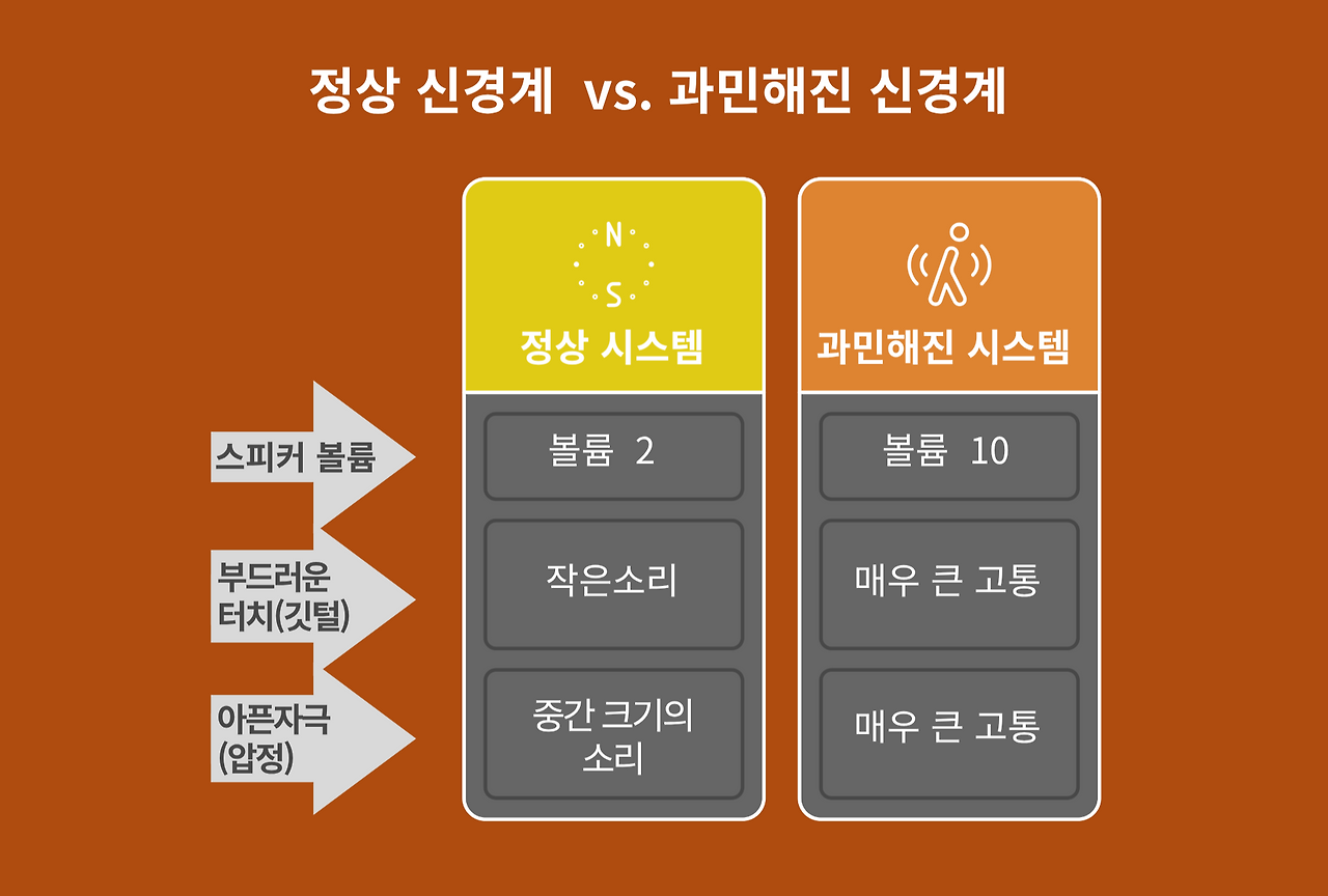 과민해진 신경계.png