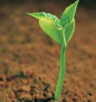 스크린샷 2016-07-28 오전 1.54.25.png