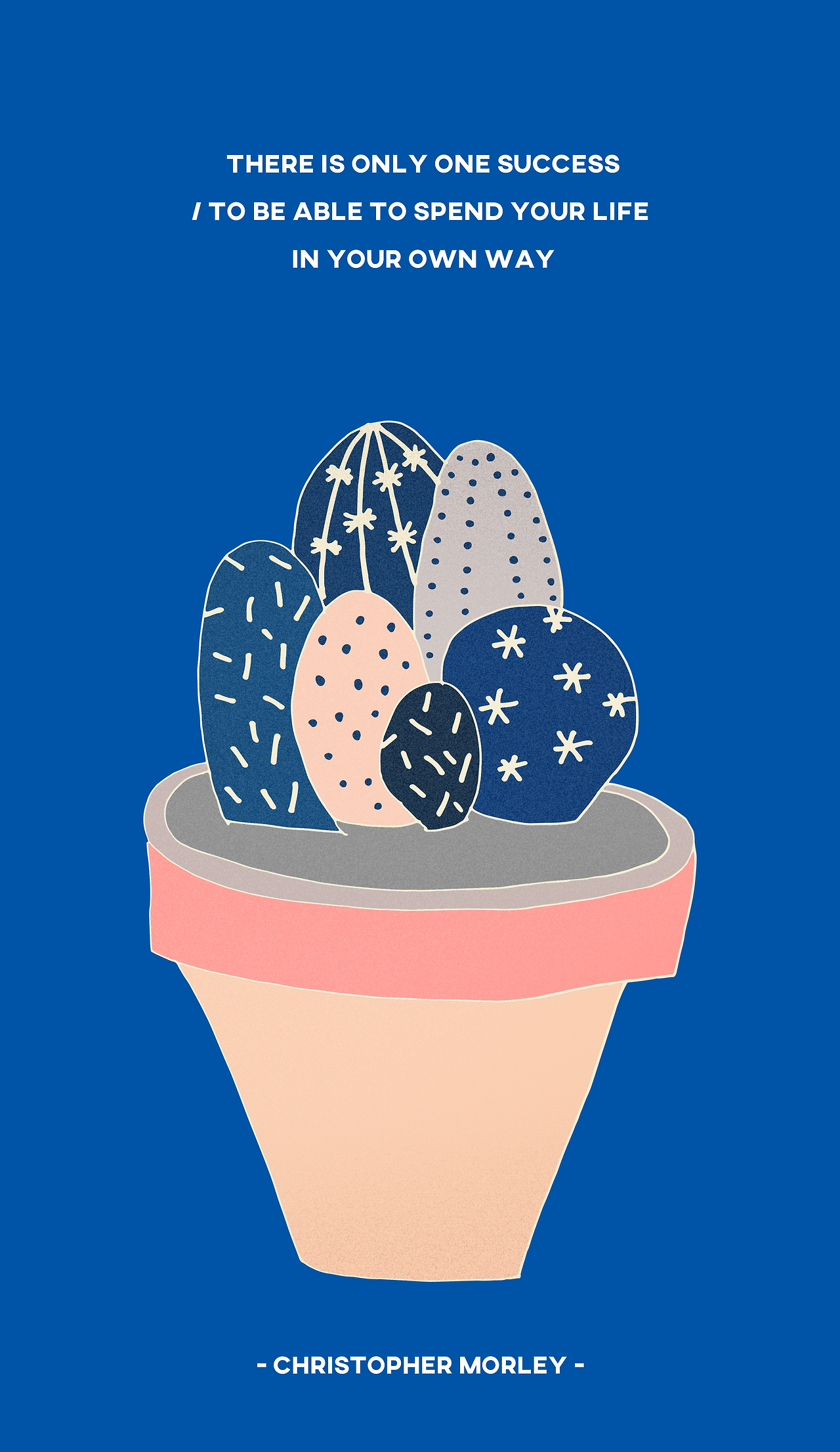 cactus_0801.png