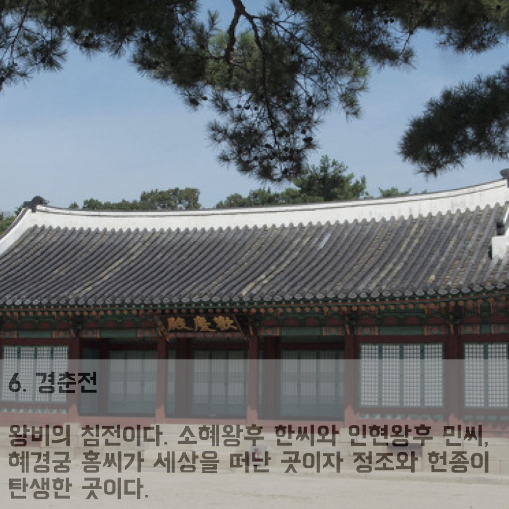 20160314_201603_창경궁달빛기행.012.png