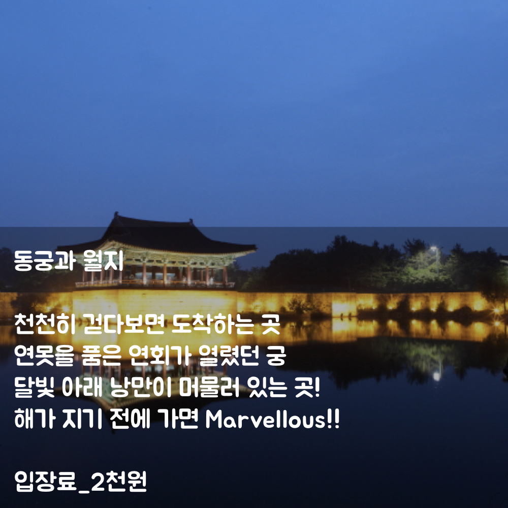 20160314_201604_경주봄사랑벚꽃말고.012.png
