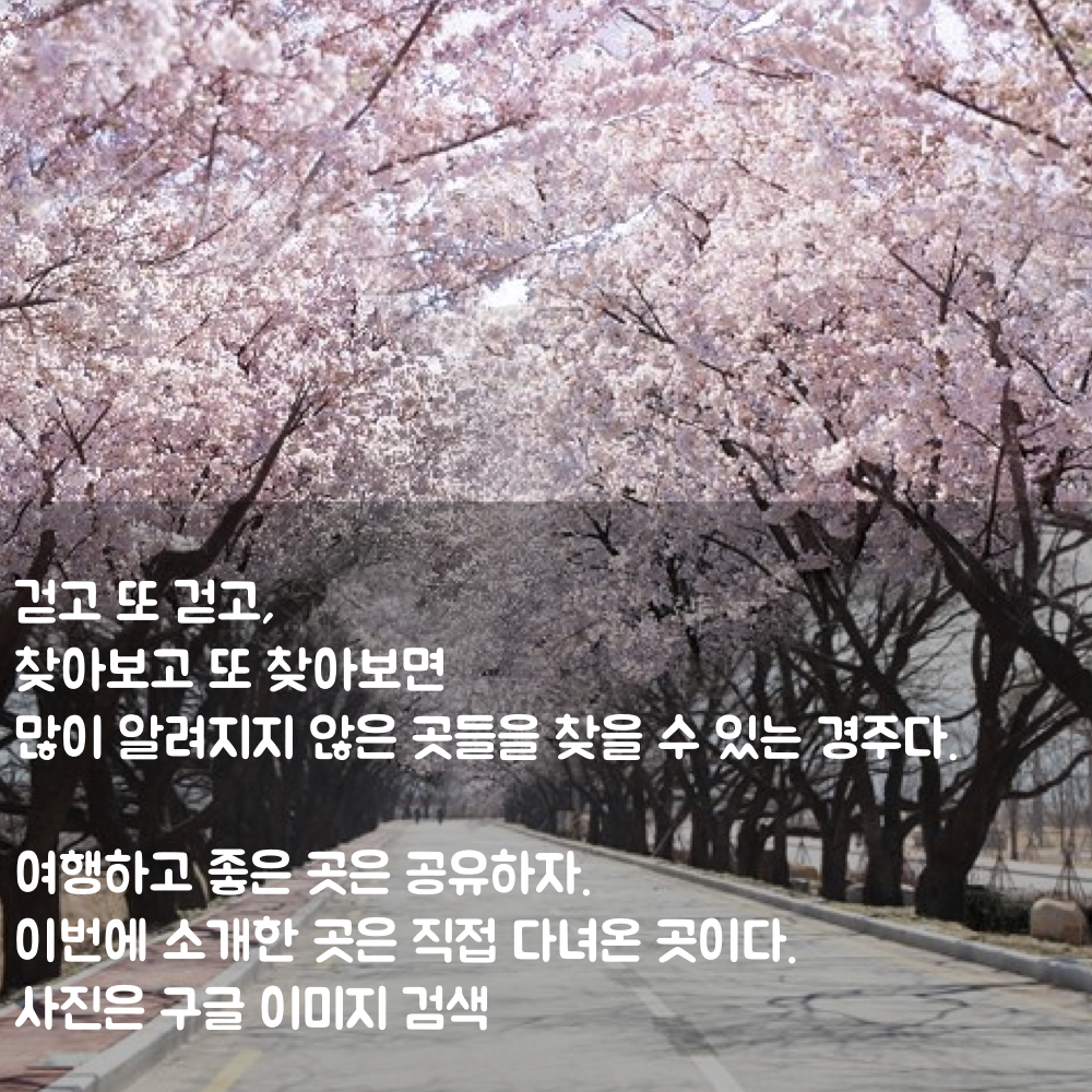 20160314_201604_경주봄사랑벚꽃말고.017.png